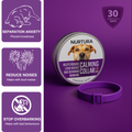 Dog Calming Collar