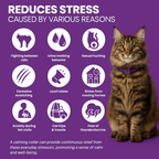 Cat Calming Collar
