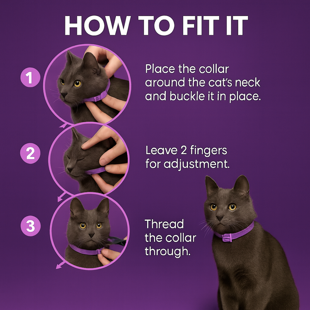 Cat Calming Collar