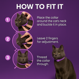 Cat Calming Collar thumbnail 4